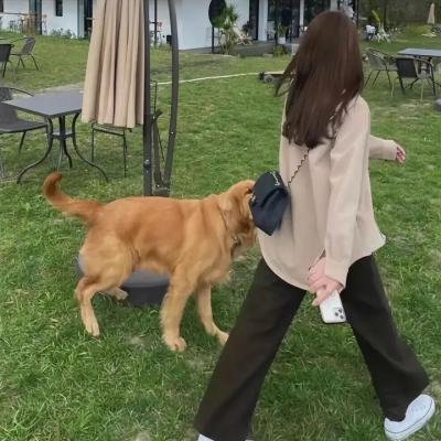 家国恩仇记