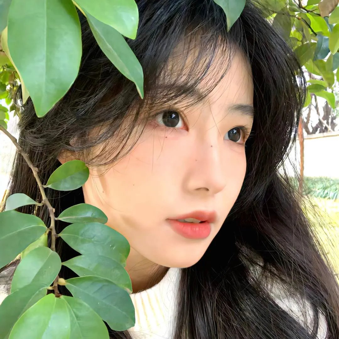 花开总有时
